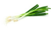 Green Onion